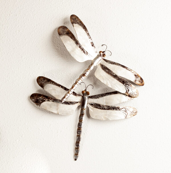 Dragonfly Wall Art